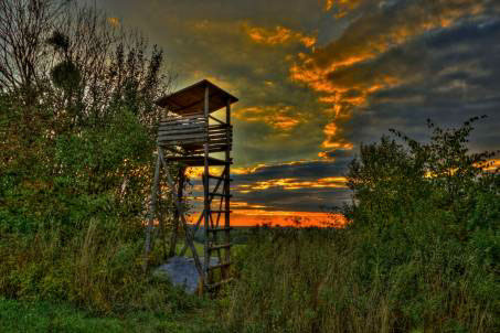 %_tempFileNamephoto_of_the_week_dagmar_pokorna%