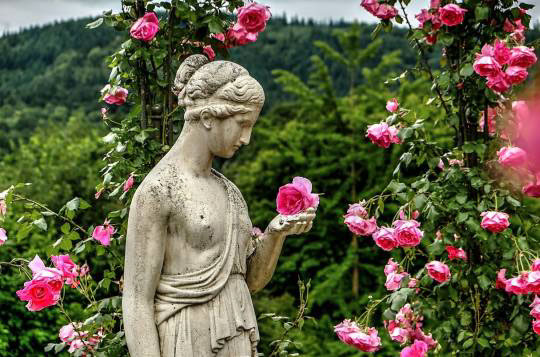 %_tempFileNamephoto_of_the_week_eckhard_dahms%