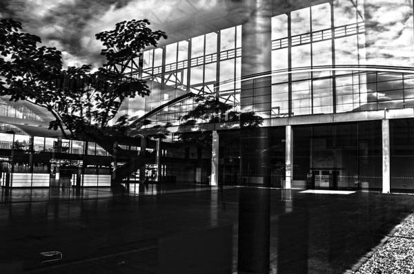 %_tempFileNamephoto_of_the_week_lilly_rausch_2%