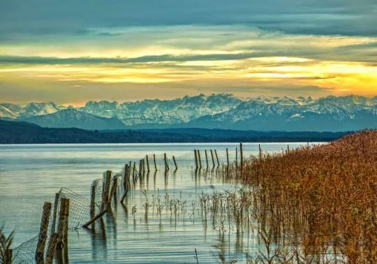 %_tempFileNamephoto_of_the_week_sebastian_els%