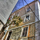 %_tempFileNamephoto_of_the_week_Joao_pedro_farinha%