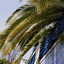 %_tempFileNamephoto_of_the_week_diogo_martins%